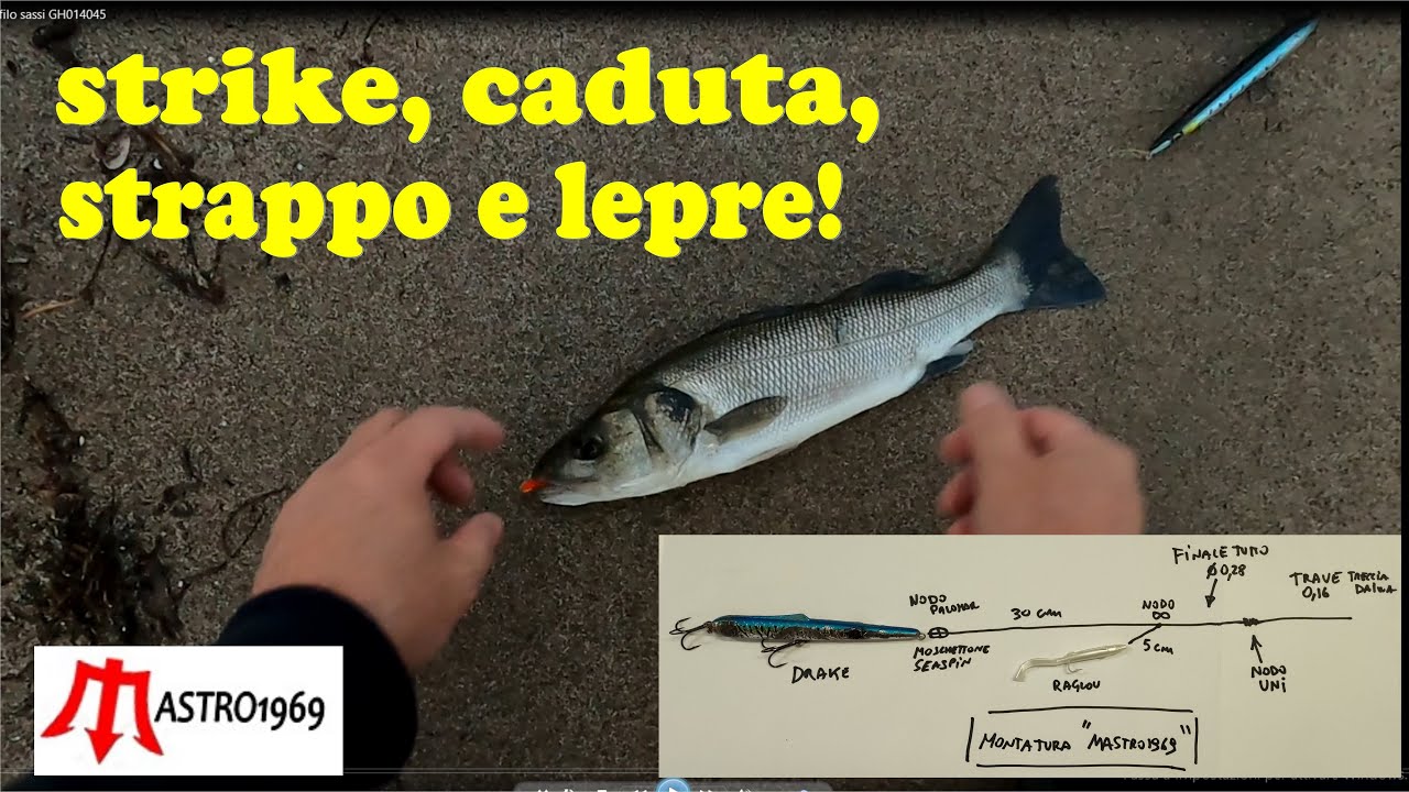 Spinning mare spigole caduta strappo e sprint con lepre