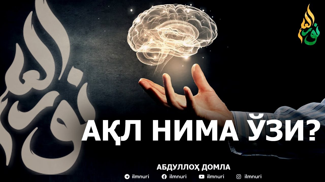 АҚЛ НИМА ЎЗИ? - АБДУЛЛОҲ ДОМЛА