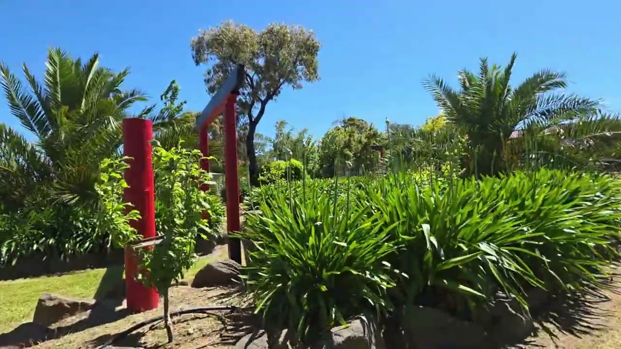 Sunny day strolling around the fruit garden.