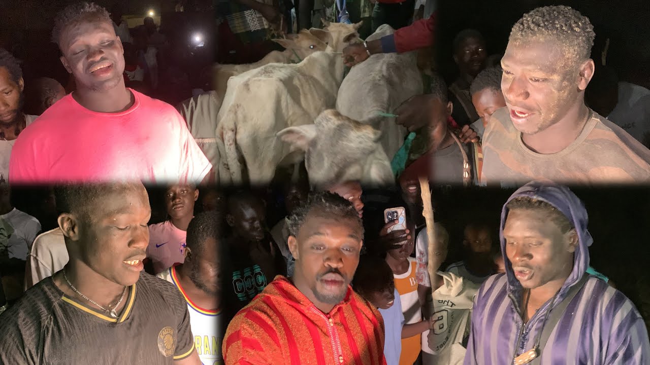 Départage des Bœufs Lamb Ndiandiaye Niokhor Alias Diene Ouz Diarekh Mbaye Ordi MBOUROC Ndambe…