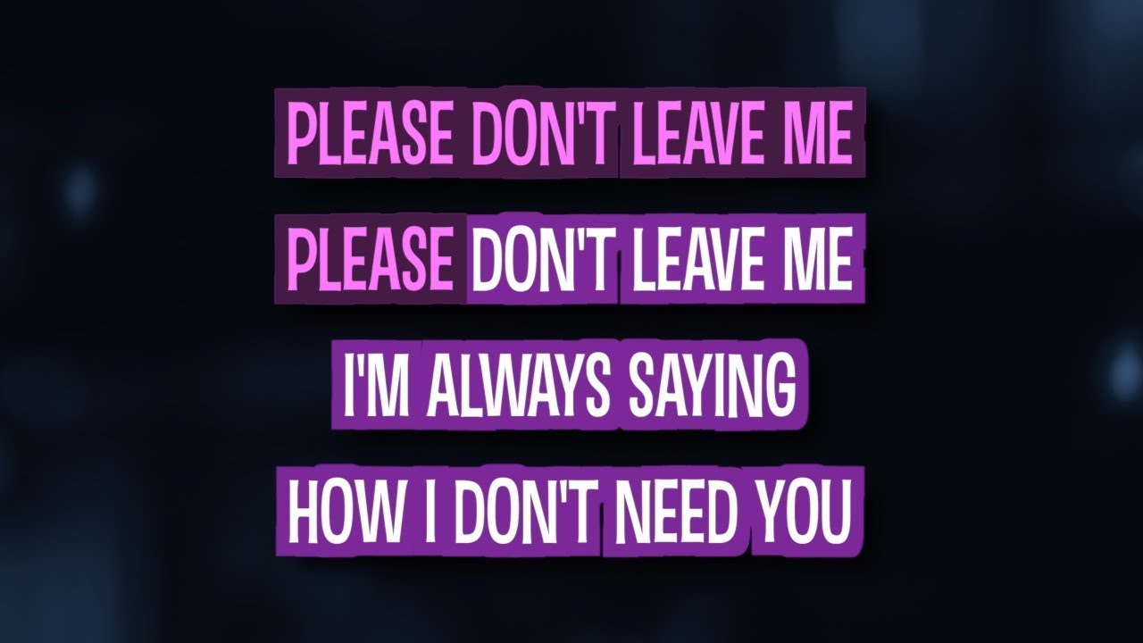 Please Don't Leave Me (Karaoke) - Pink