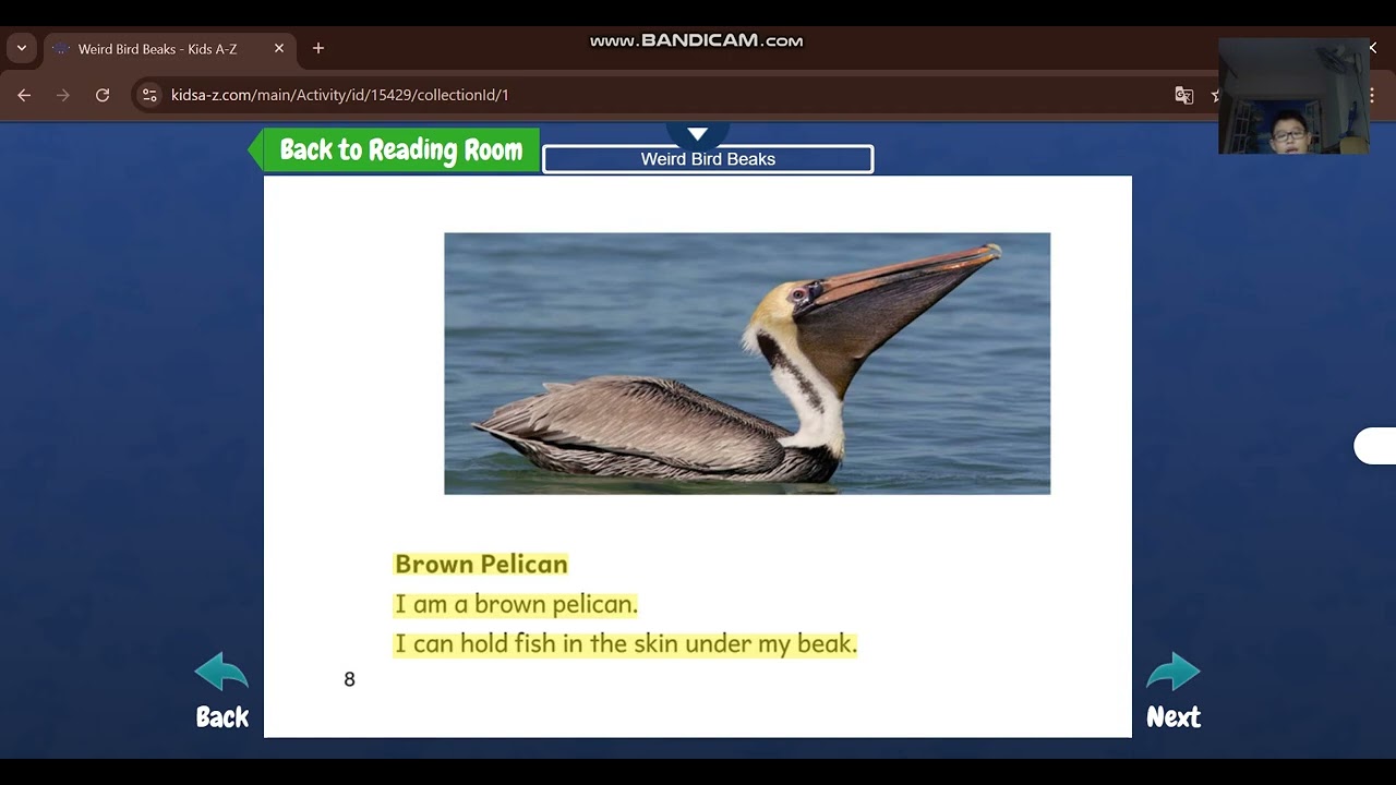 Weird Bird Breaks | Razkids Reading | Luyện đọc tiếng Anh cho bé | Khang Pham