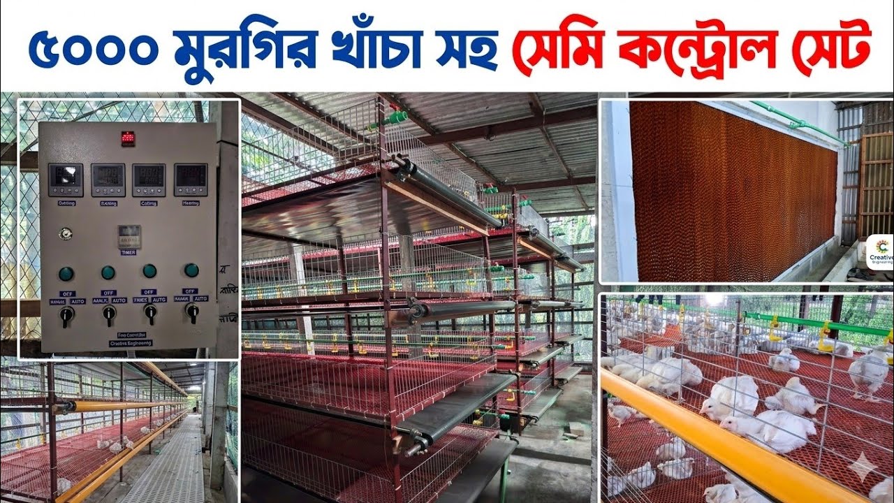৫০০০ ব্রয়লার মুরগির খাঁচা সহ সেমি কন্ট্রোল সেড/Semi-controlled shed with 5000 broiler chicken cages
