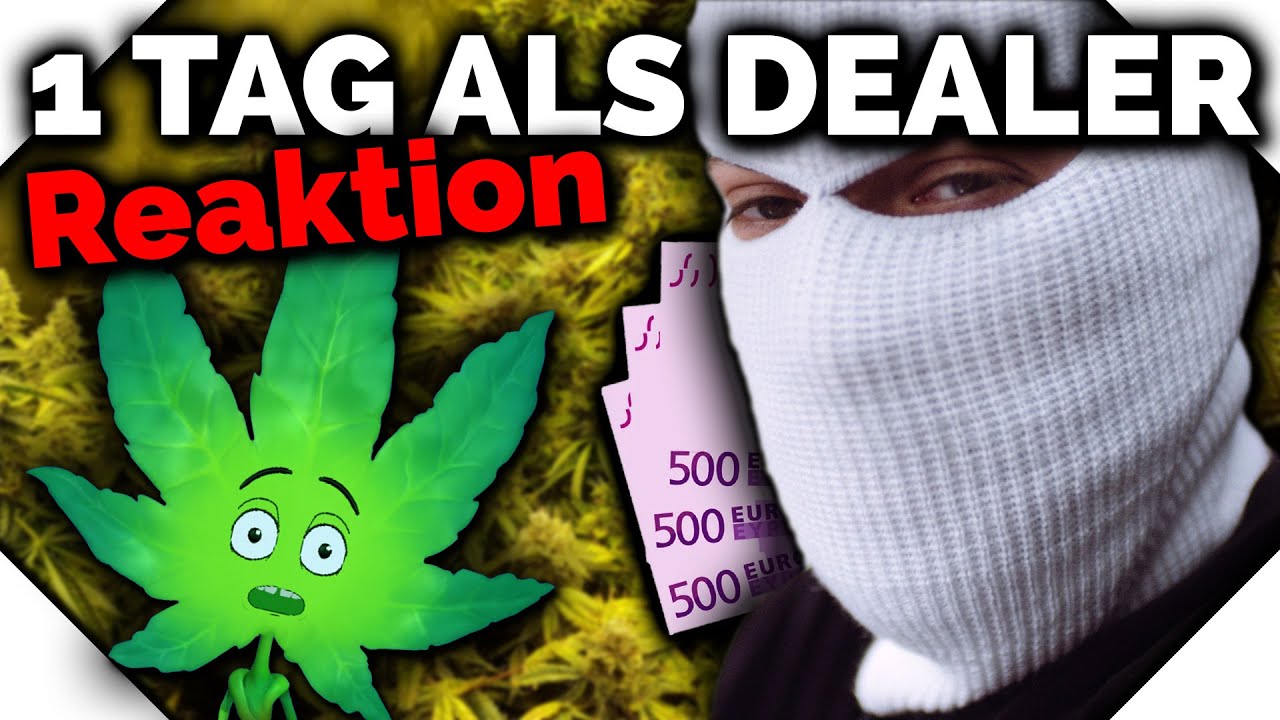 Das Leben eines DEALERS 🌿👮&zwj;♀️| Reaktion auf Cannabis Doku #9 | WEEDISTA