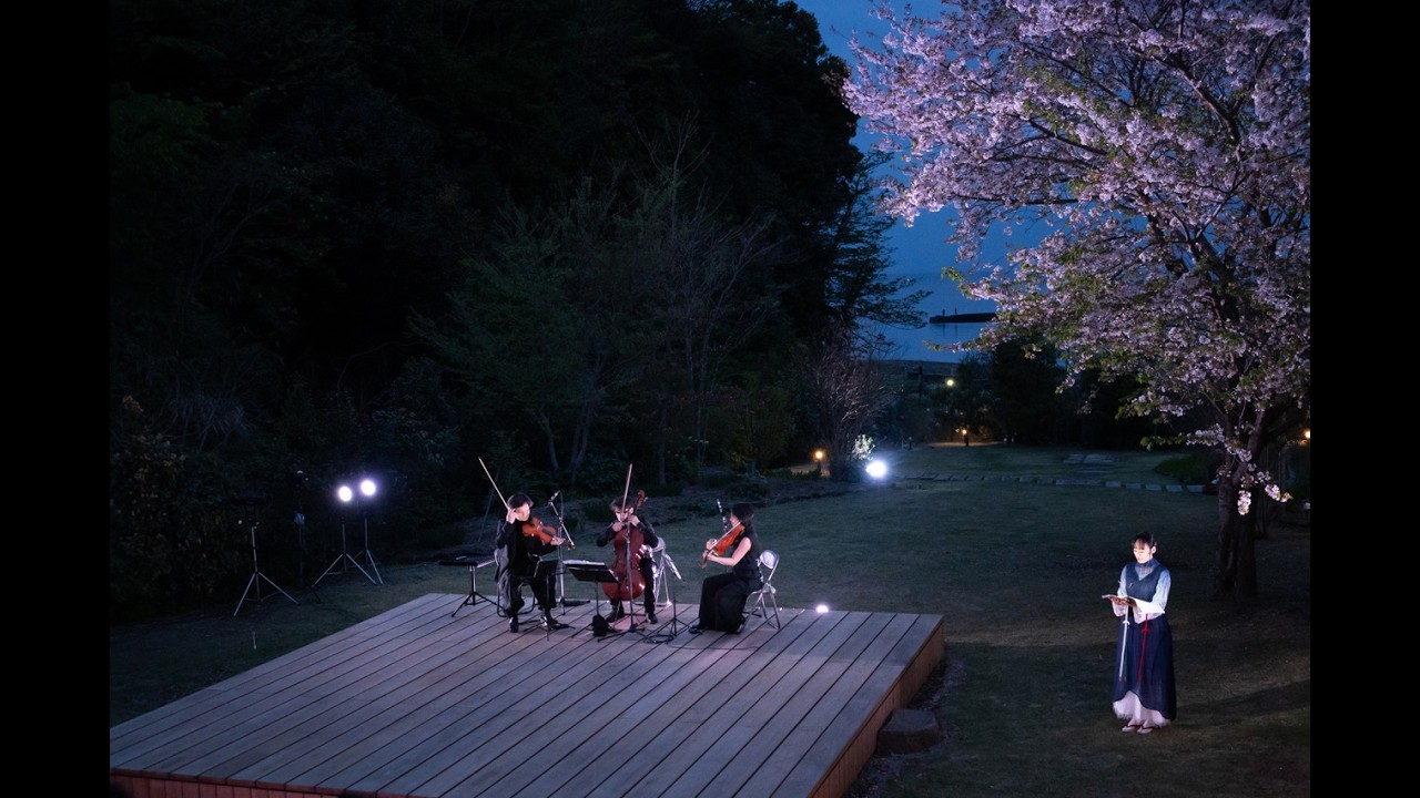 Yu Kuwabara “In the Forest, Under Cherries in Full Bloom” (2025) 桑原ゆう「桜の森の満開の下」