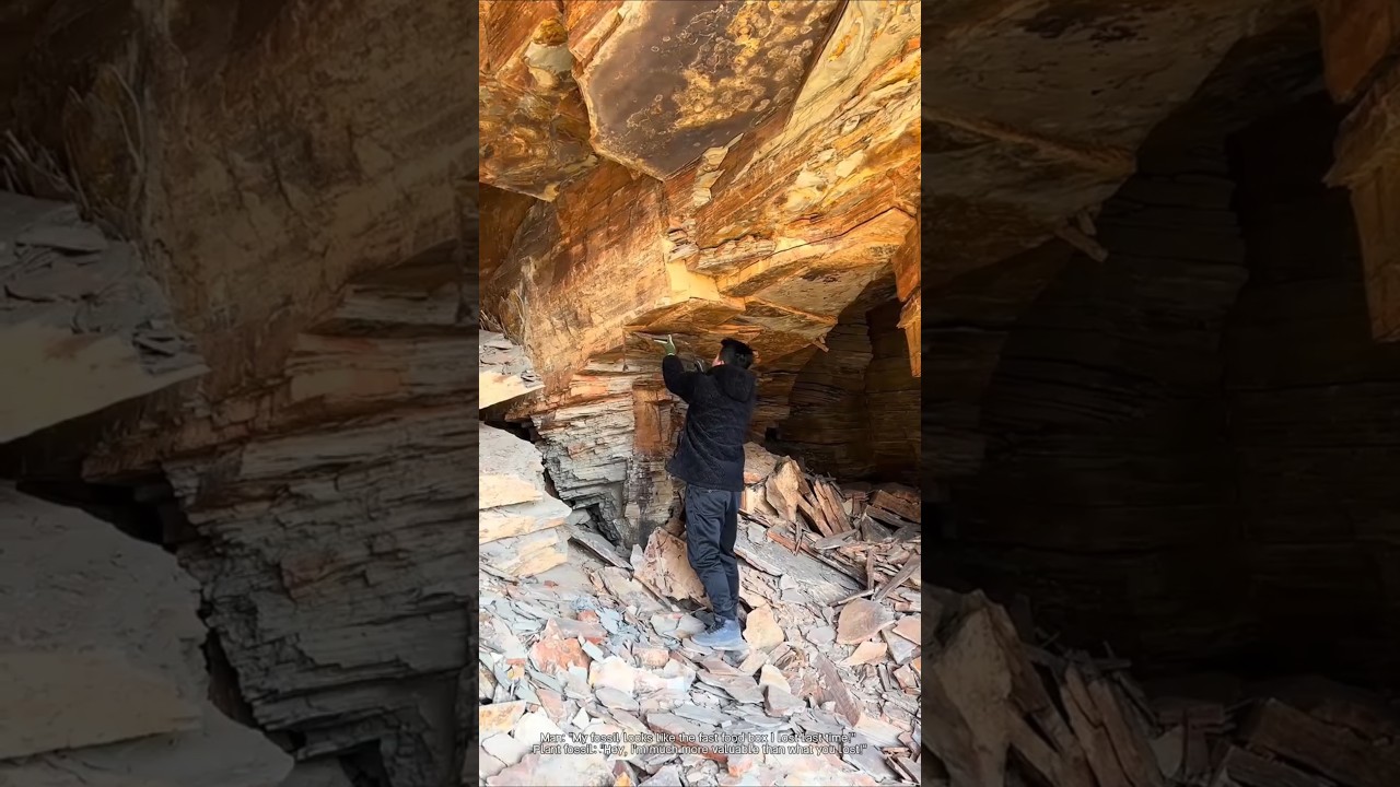 Exploring the secrets of ancient plants: surprising discoveries in shale caves