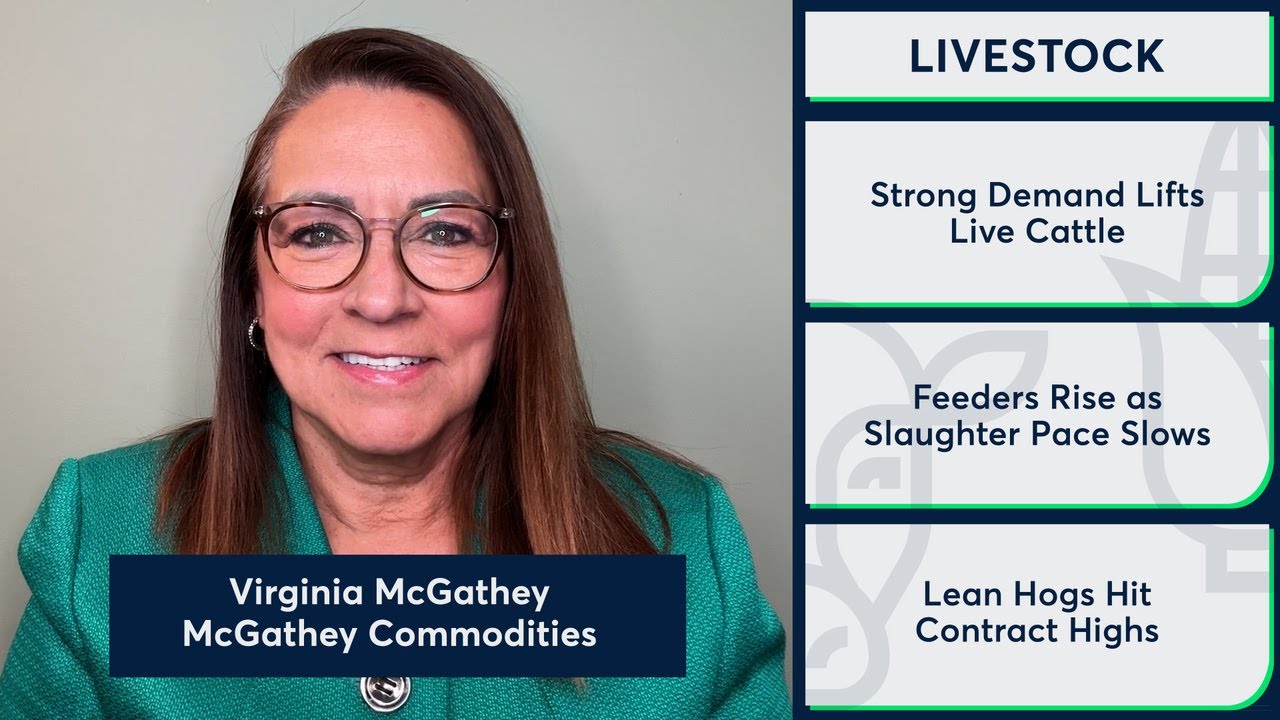 Live Cattle futures trended higher on strong demand. 2/4/26