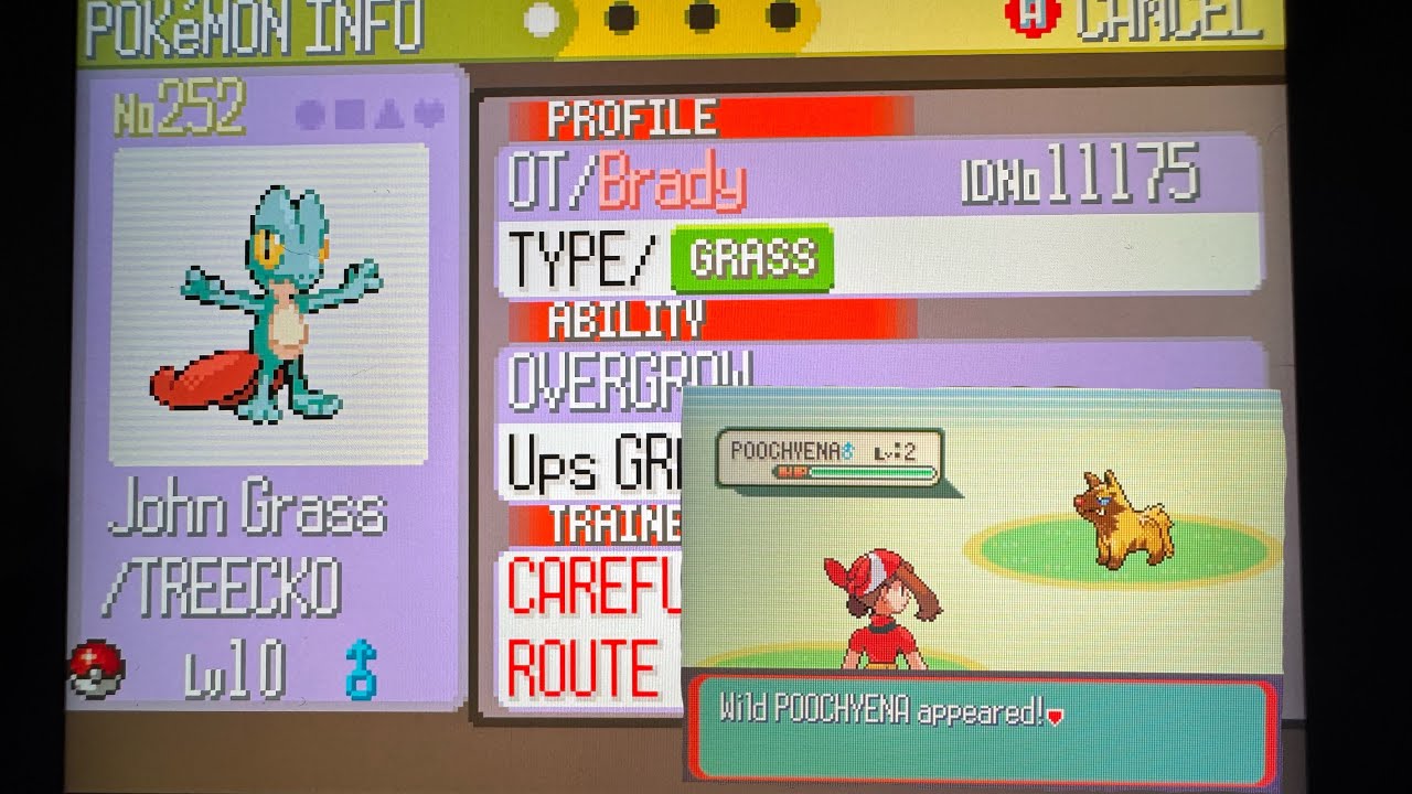 Shiny Treecko + Uncatchable Poochyena Phase in Pokemon Sapphire!