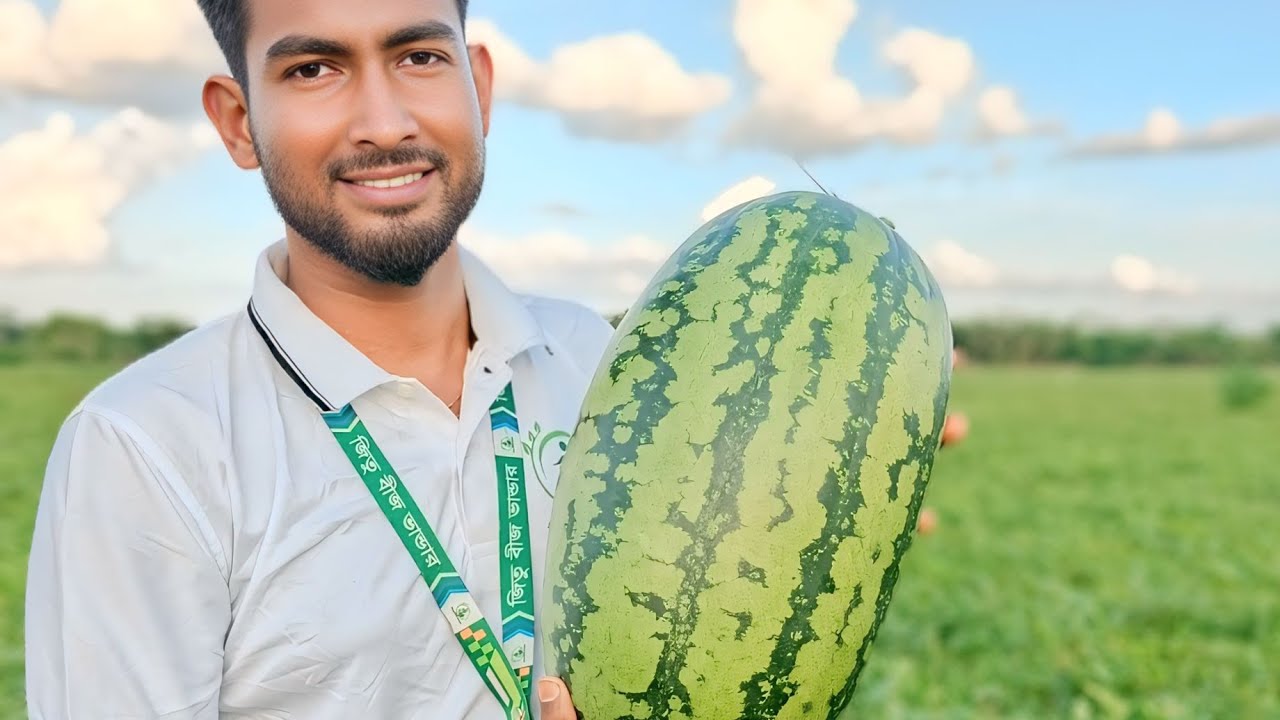 লবণাক্ত মাটির জন‍্য উপযুক্ত তরমুজ 