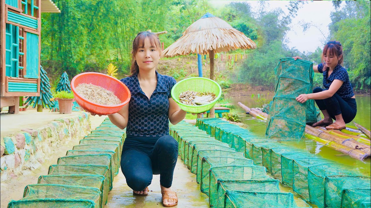 Bagua trap. The girl sets a bagua trap to harvest shrimp and fish for food. Unexpected results