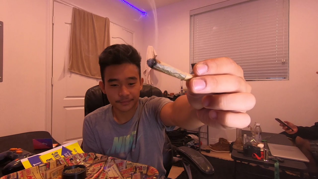 Weed Review, Gelato by King Garden