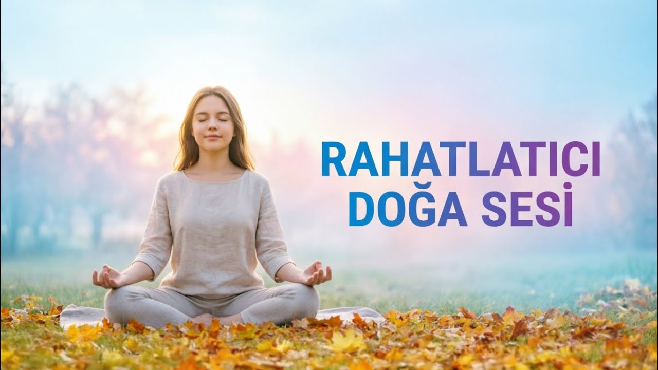 Rahatlatıcı Doğa Sesi ( Meditasyon, uyku , huzur )