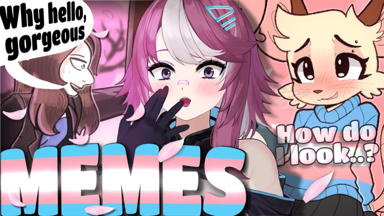 Dysphoria & Cooking HRT - TRANS MEMES