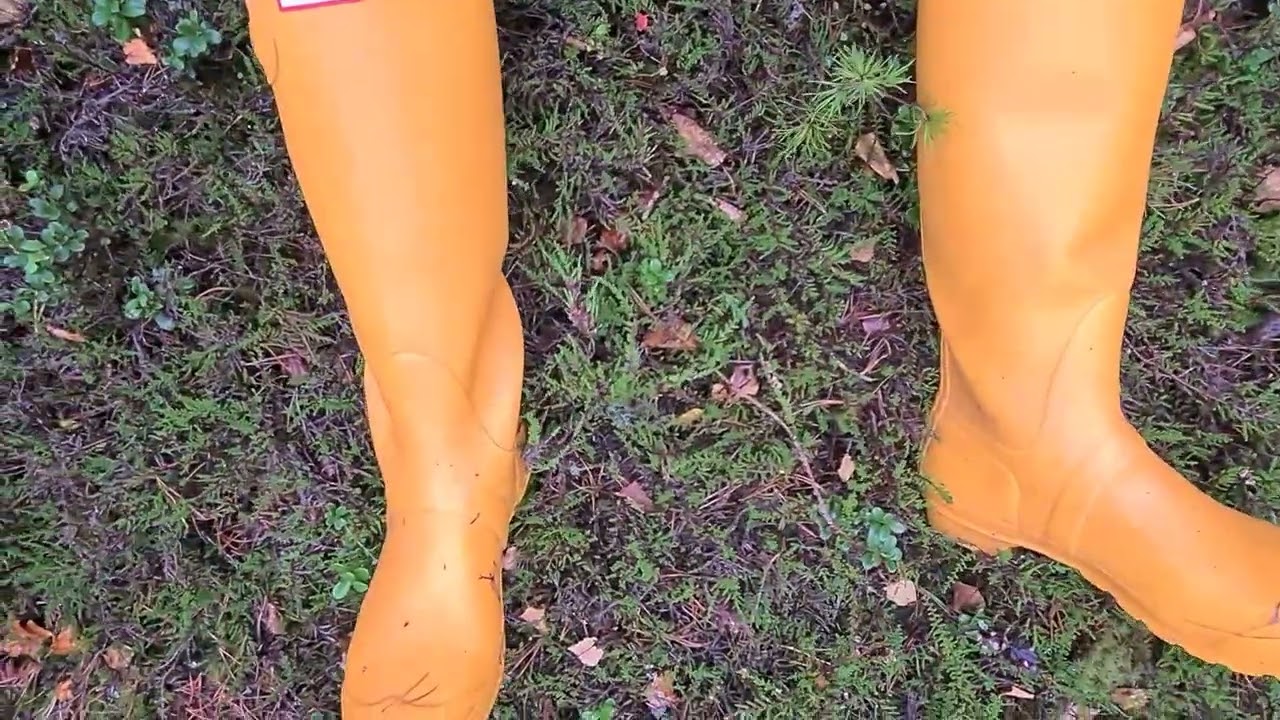 Hunter Original Tall gelb und Regenhose