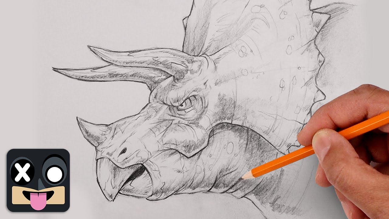 How To Draw Triceratops | Sketch Tutorial