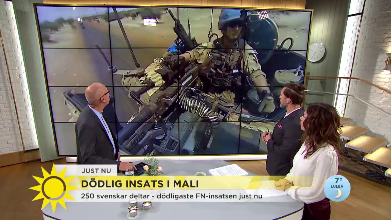Dödlig insats i Mali – Stefan Borg: ”Det finns en fredsplan, men den går sådär” - Nyhetsmorgon (TV4)