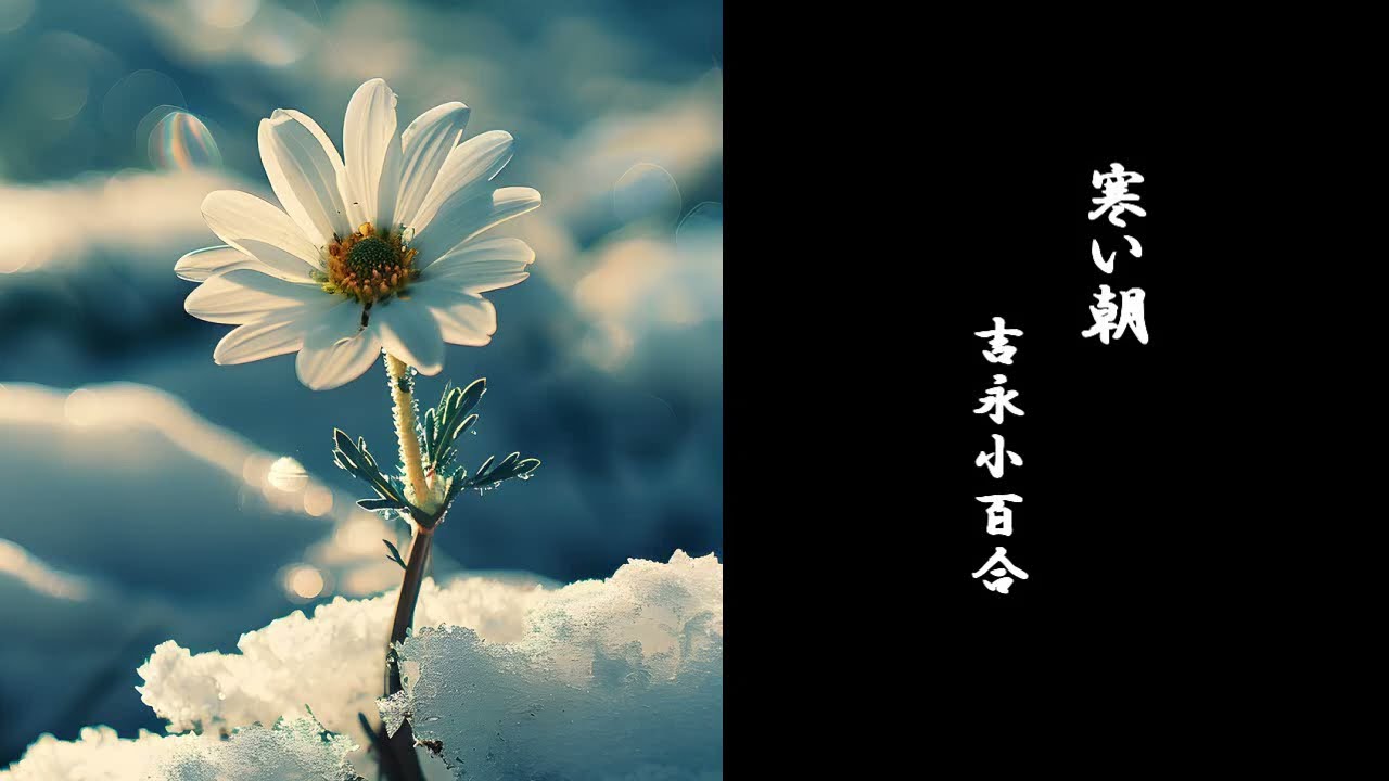 寒い朝　吉永小百合　和田弘とマヒナスターズ【cover】