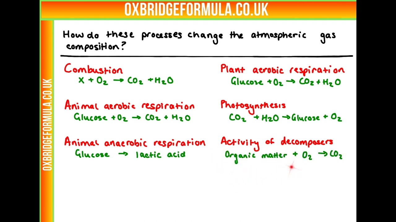 BMAT 2020 Sec2 Q13 (Bio) - Atmospheric Gases.mov