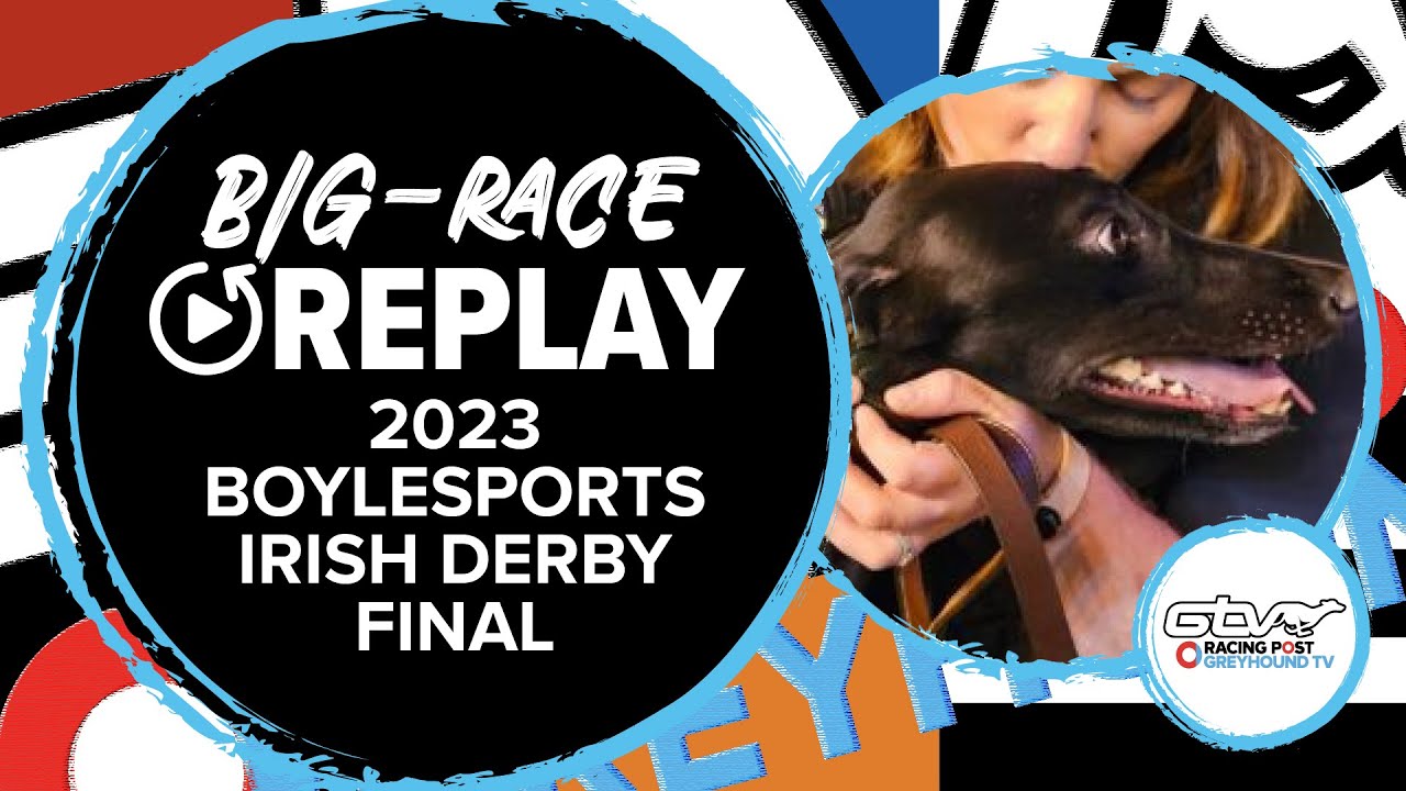 2023 Boylesports Irish Derby Final - The Other Kobe | Greyhound Replays | Ireland | 2023 Big Finals