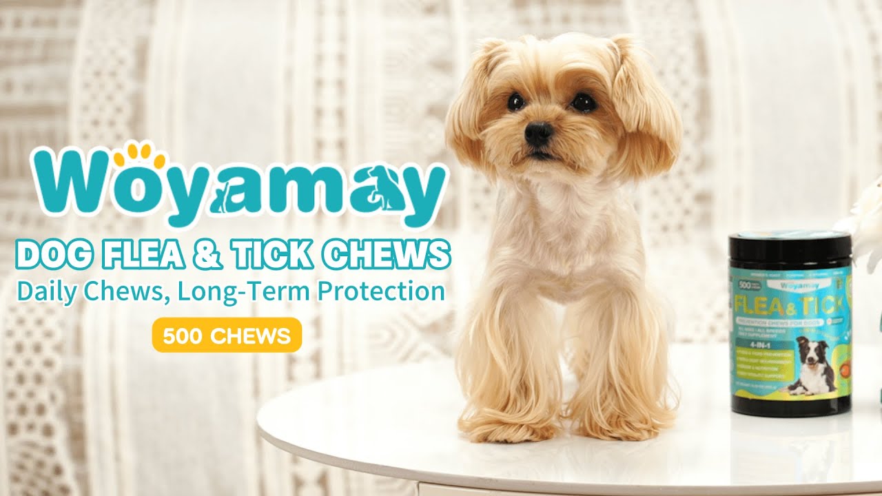 Woyamay: Your Dog's Flea Problem Solved in One Bite