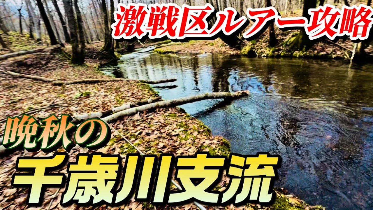 【ラパラ】有名激戦区の攻略ミノーはどれだ？　晩秋小河川でベイトフィネス釣査･･･