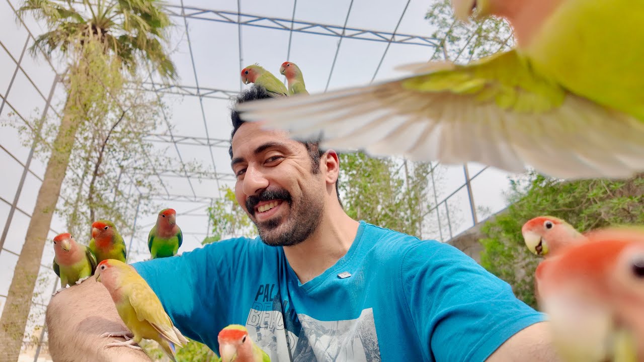 العصافير هجمت علي فجأة! 😱🦜 تجربة برية مجنونة!