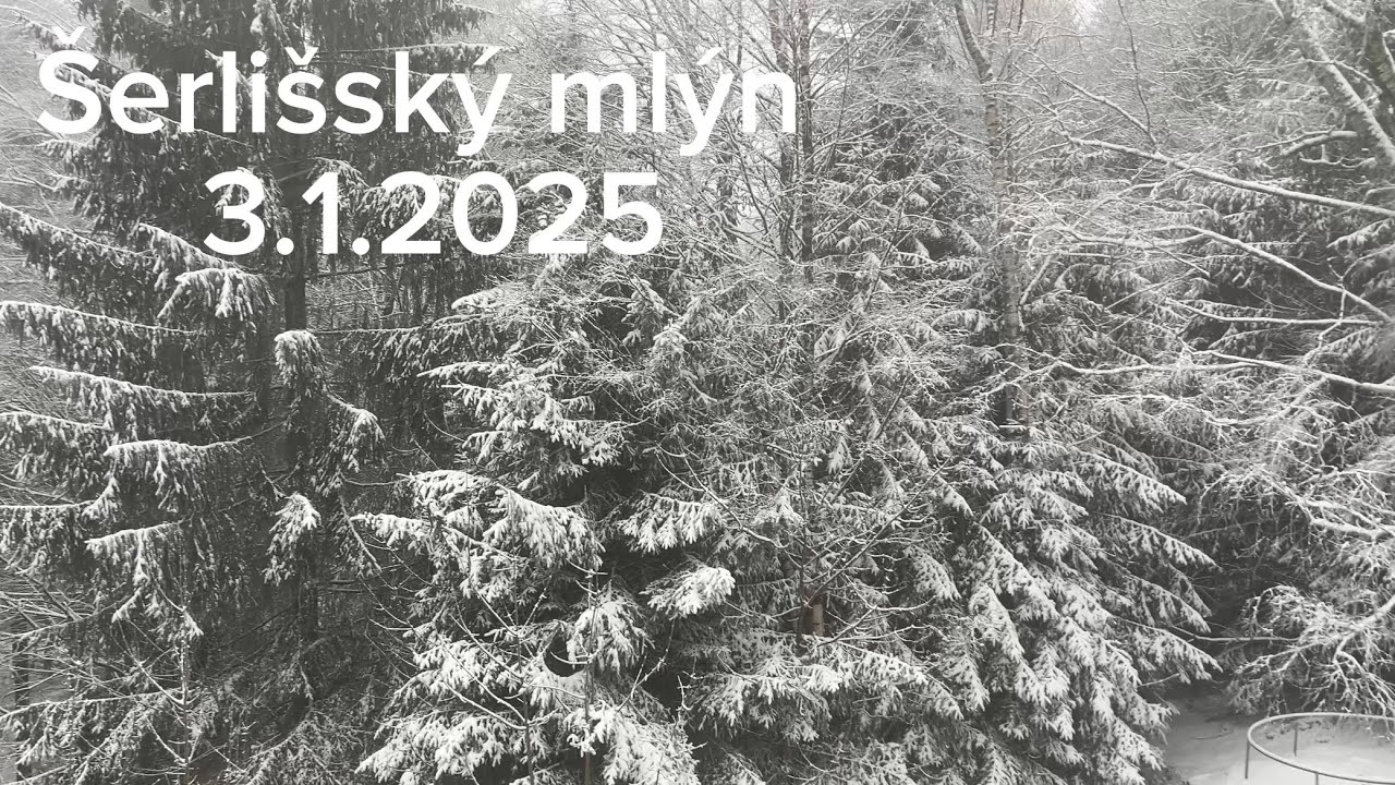 Šerlišský mlýn 3.1.2025
