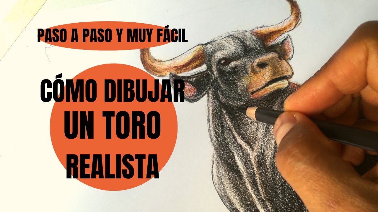 Te digo Cómo se Dibuja un Toro realista Paso a Paso ¡Muy fácil!