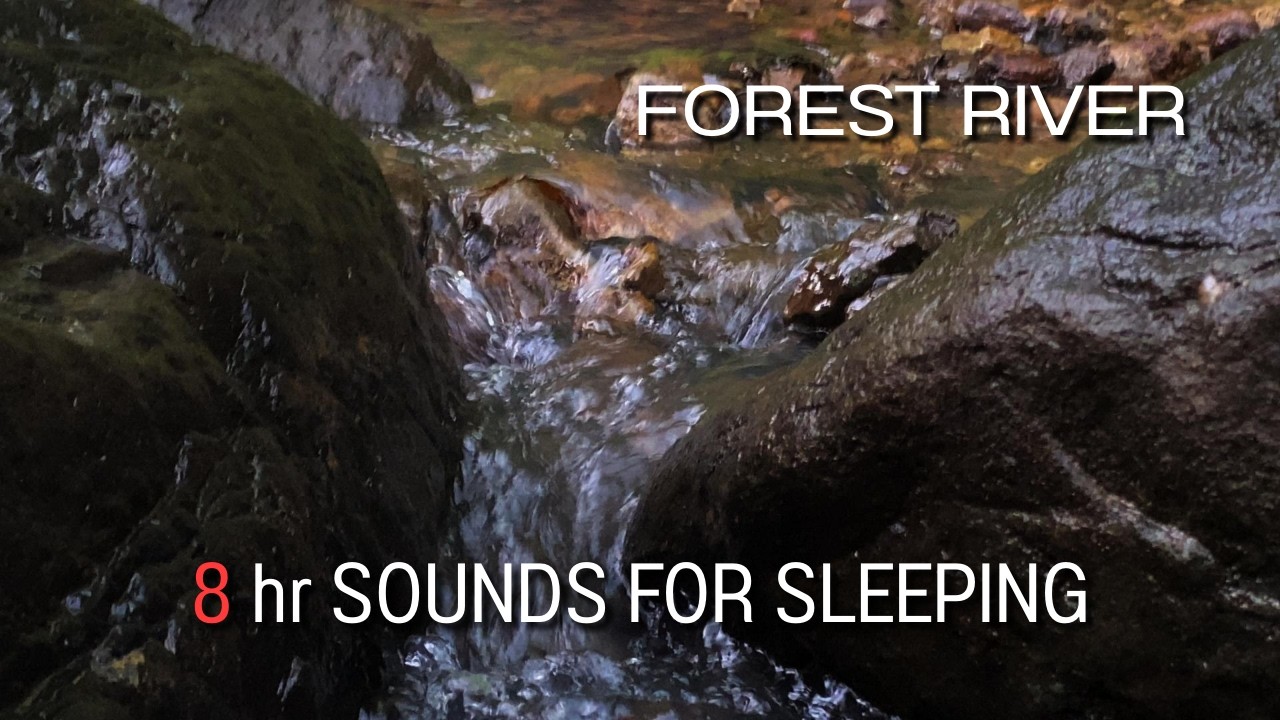 Forest River - Stream Sounds for Sleeping - No Birds - Relaxing Nature Video - Water Flowing 8 Hours