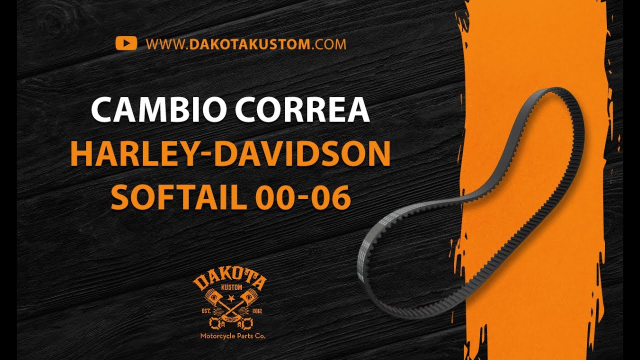 Cambio Correa Harley-Davidson Softail 2000-2006 - Dakota Kustom