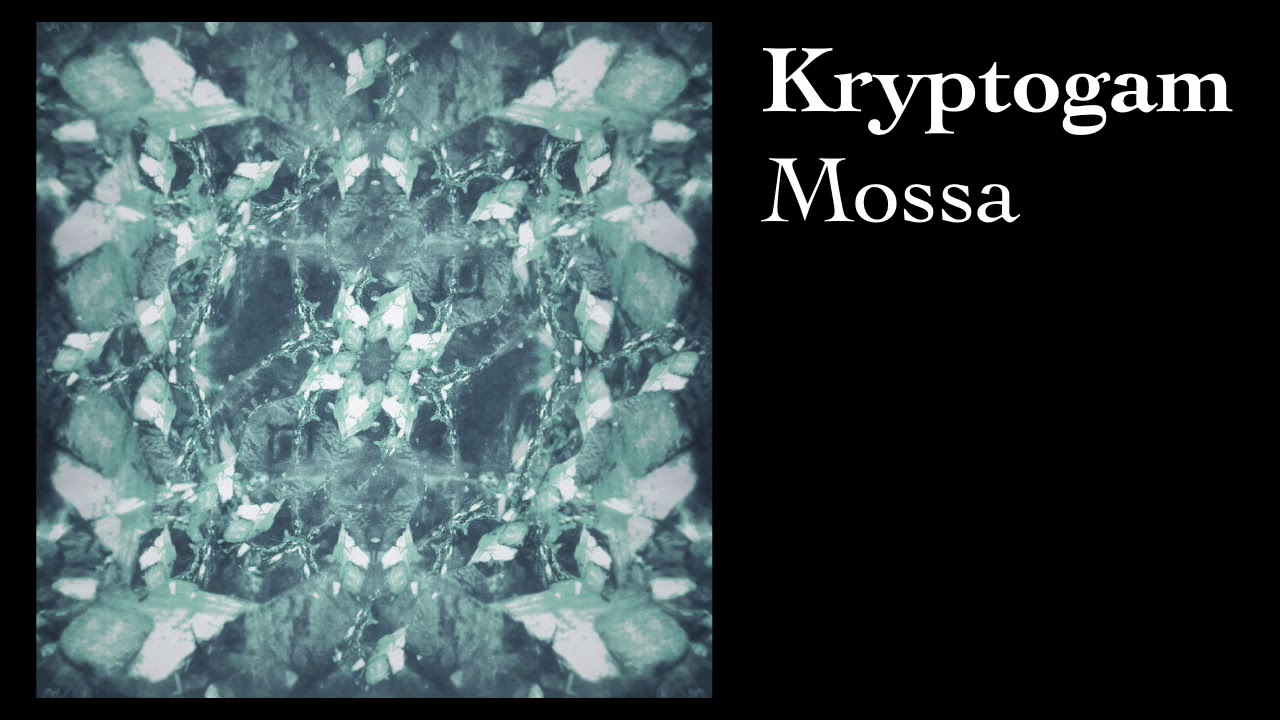 Kryptogam - Mossa