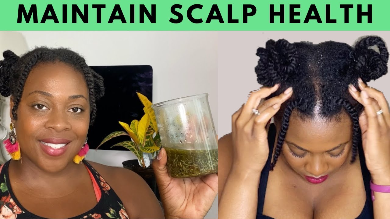 How to Have a Healthy Scalp| Natural Hair and Ayurvedic Hair Care