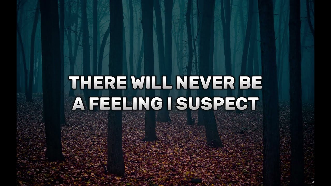 Seether - What Would You Do (Lyrics/Lirik)