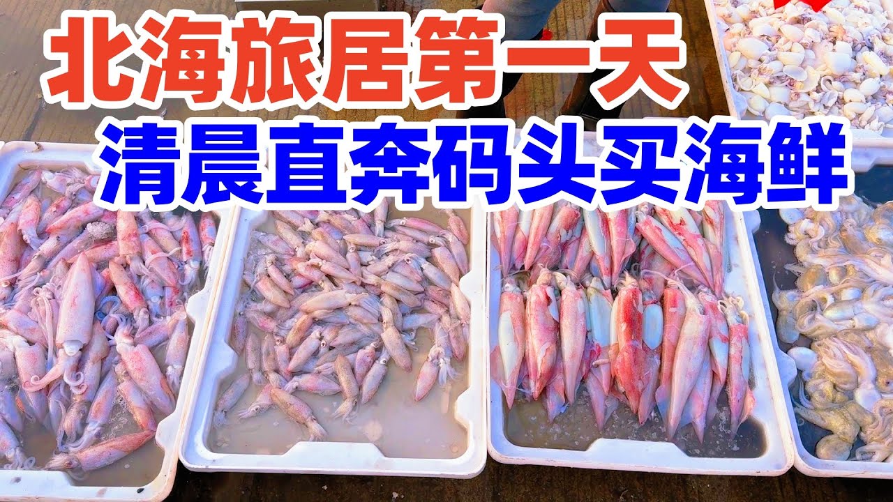 【回国旅居广西】北海旅居第一天: 清晨直奔电建码头, 去买最新鲜的海鲜! 北海电建渔港-华南地区规模最大的渔港之一 / 北海旅游/北海养老/北海旅居/北海