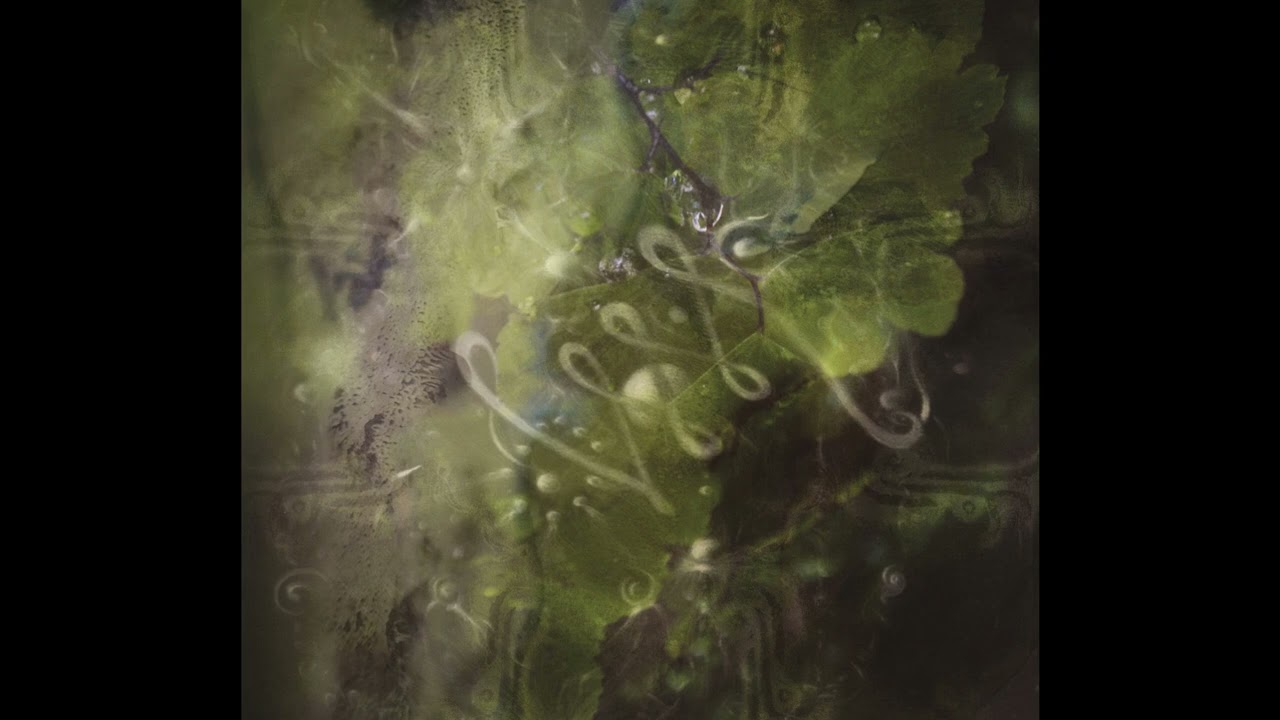 PREMIERE⚡️Radiation Pattern - Cellina [Aurora]