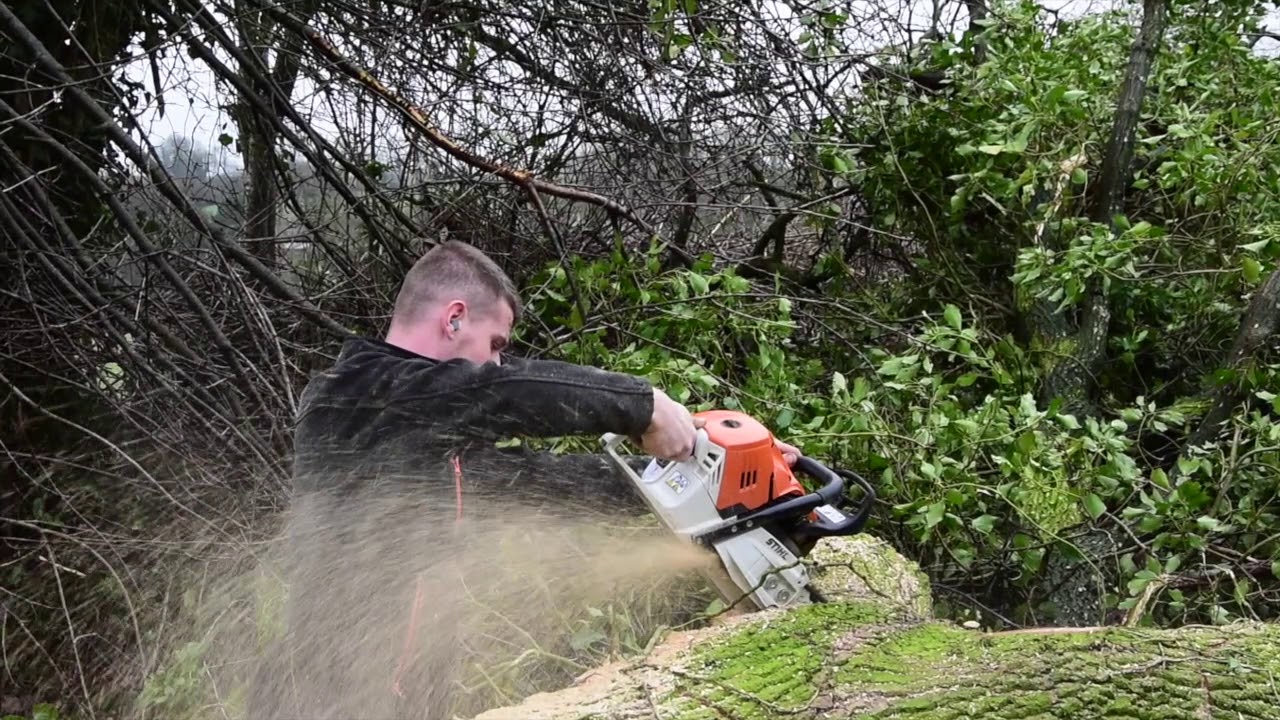 Chantier de bois I STIHL MS 500i
