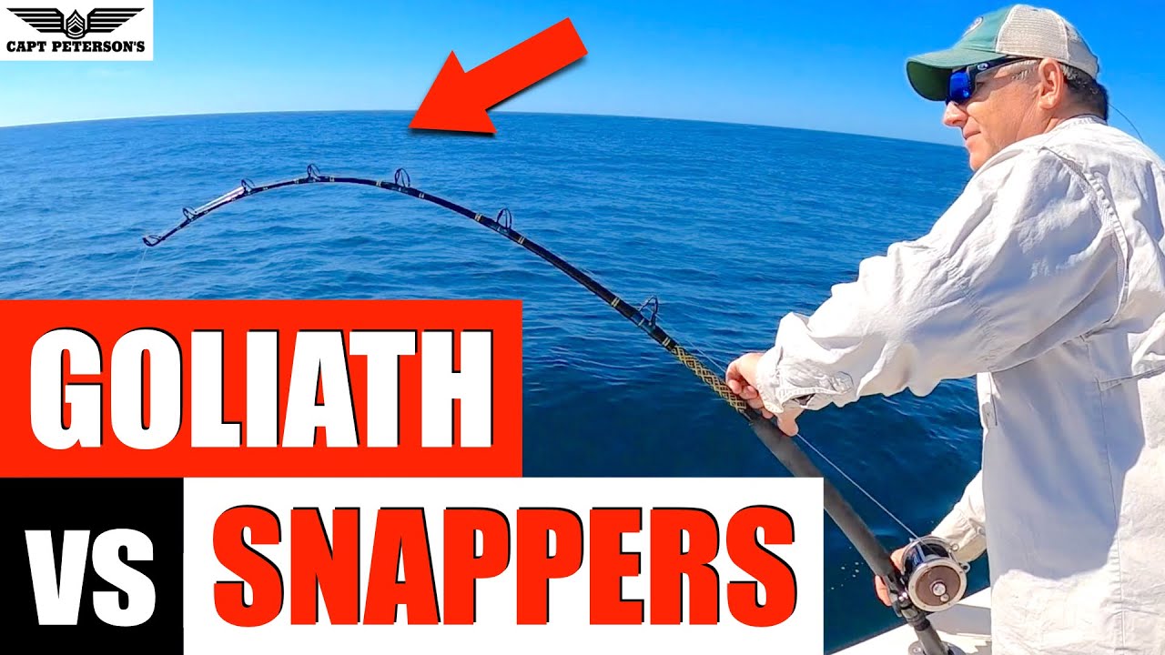 Goliath Grouper, Red Snapper, Grouper Fishing - Apalachicola, FL