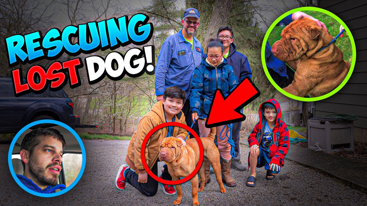 No way! Such a blast to find this dog with a Thermal Drone!