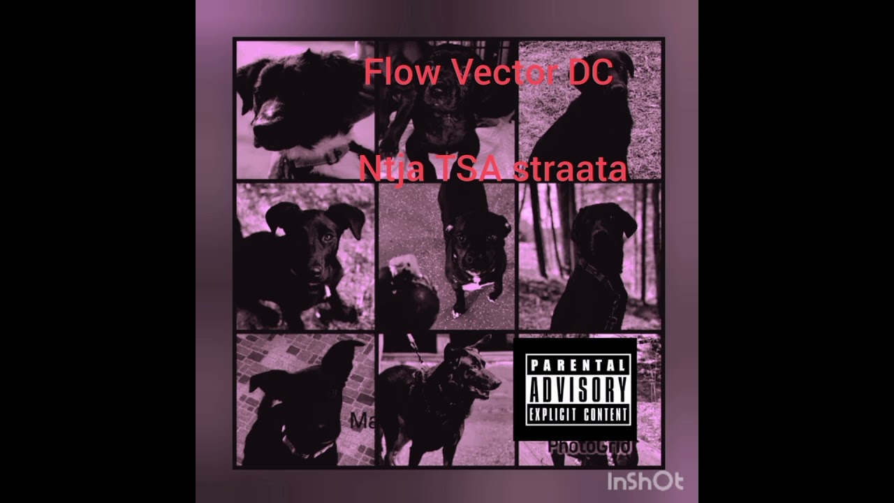 Flow Vector DC _Ntja TSA straata