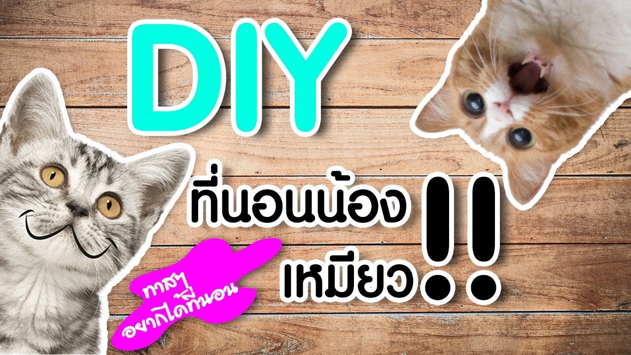 DIY | พาทำที่นอนแมว How to make Pet Bed | ทาสแมว style MJ | EP.7