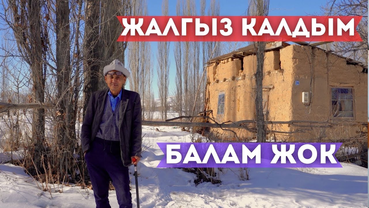 20 жылдан бери жалгыз жашайм