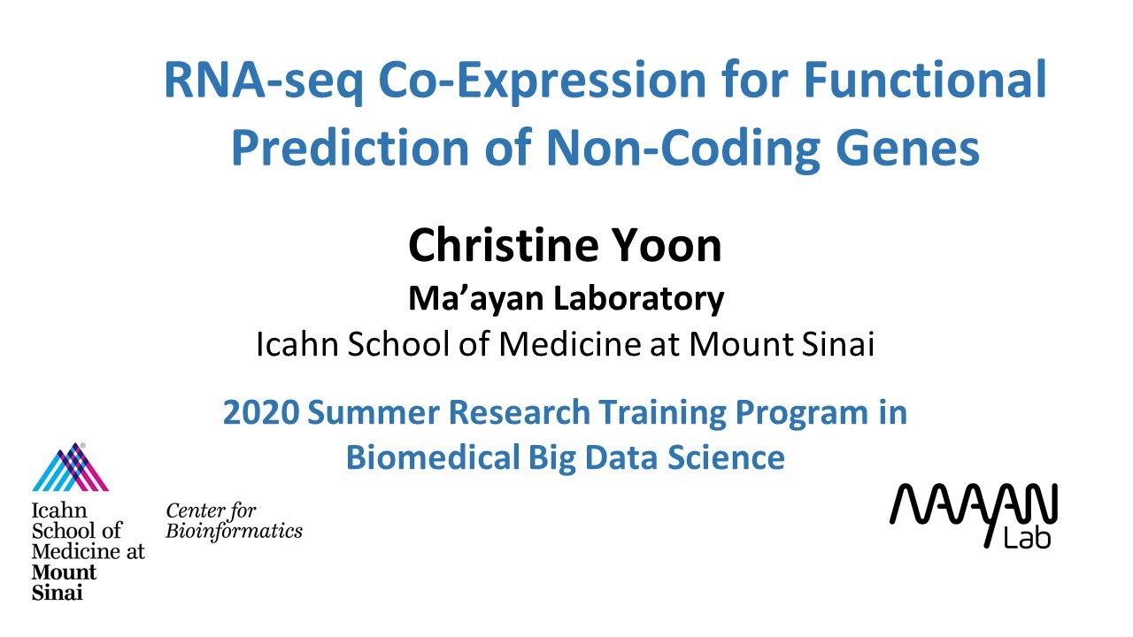 RNA-seq Co-Expression for Functional Prediction of Non-Coding Genes