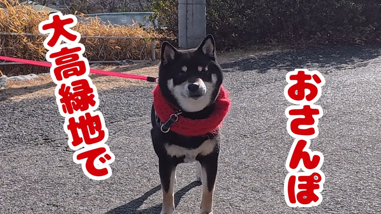 大高緑地でおさんぽ