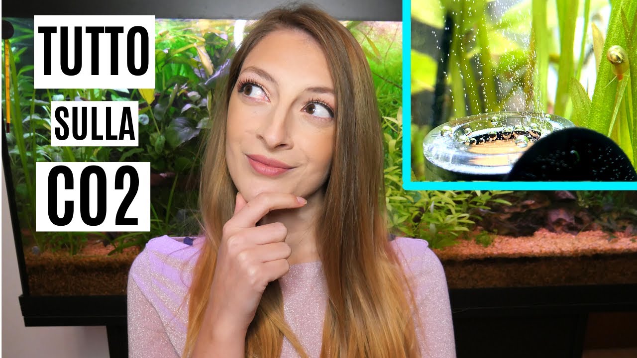 TUTTO sulla CO2 in ACQUARIO 🌿 Guida e consigli