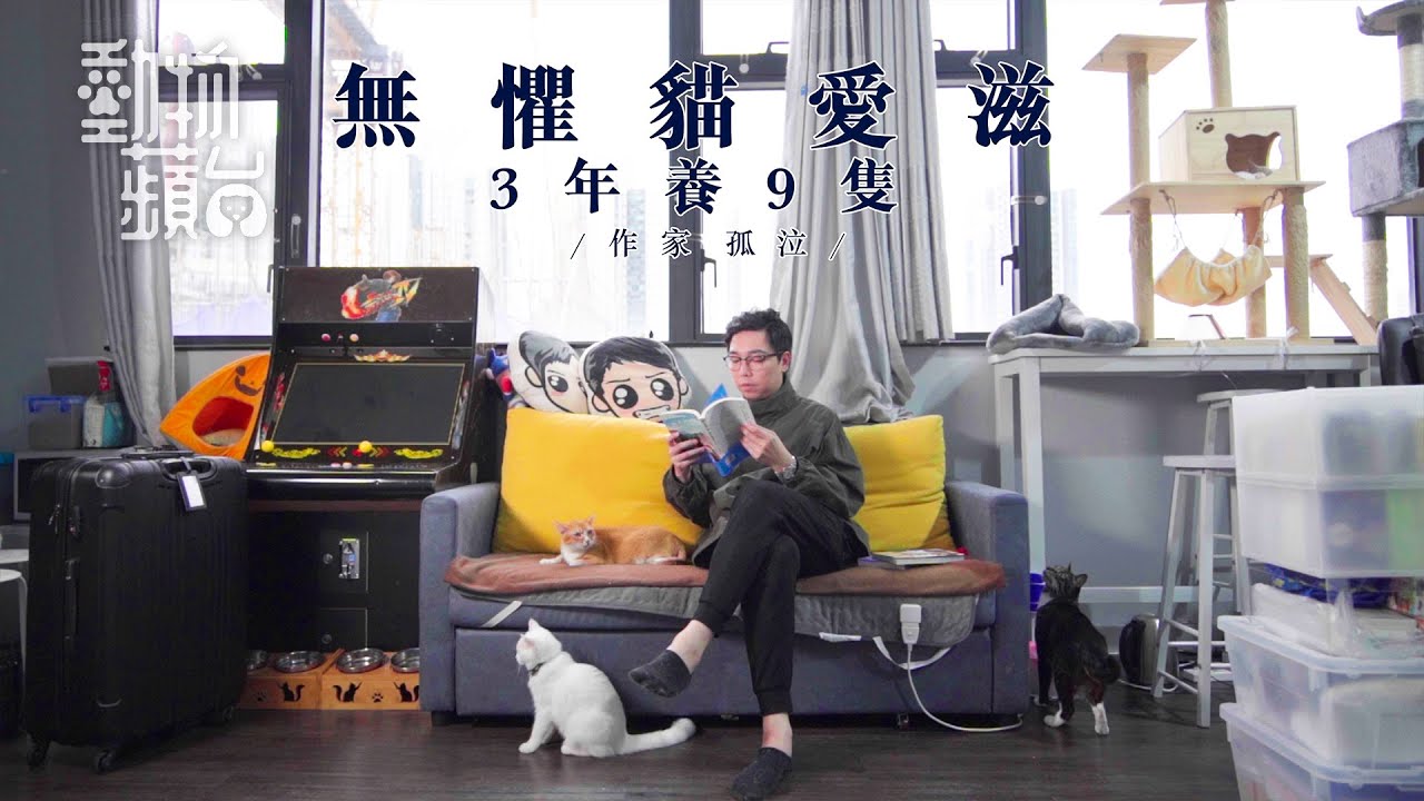 【名人與貓】流行作家孤泣領養9貓寫書倡愛貓 不離不棄花5萬救活FIP愛貓