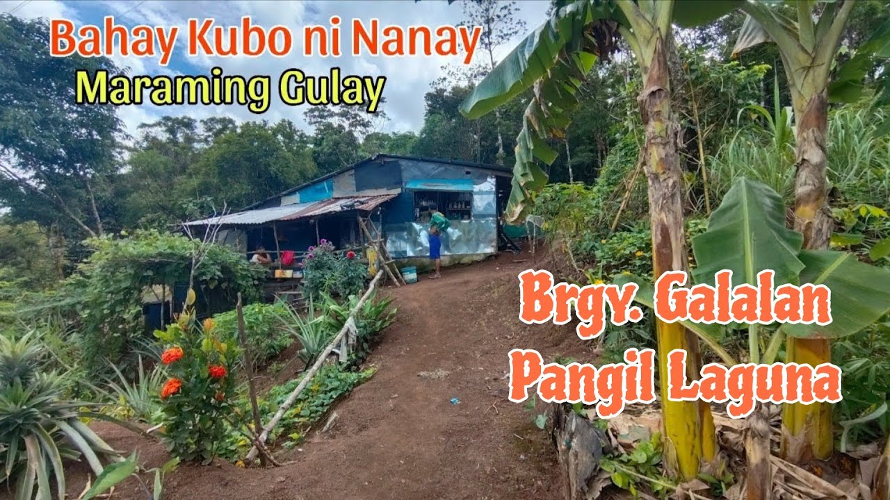 Bahay Kubo ni Nanay Maraming Gulay | Galalan Pangil Laguna