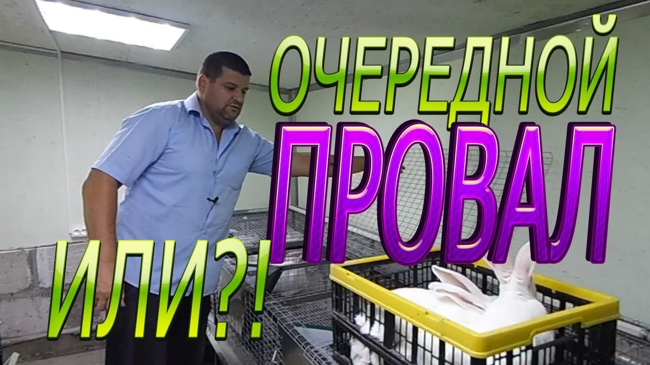 ХИКОЛЬ 90 ДНЕЙ.