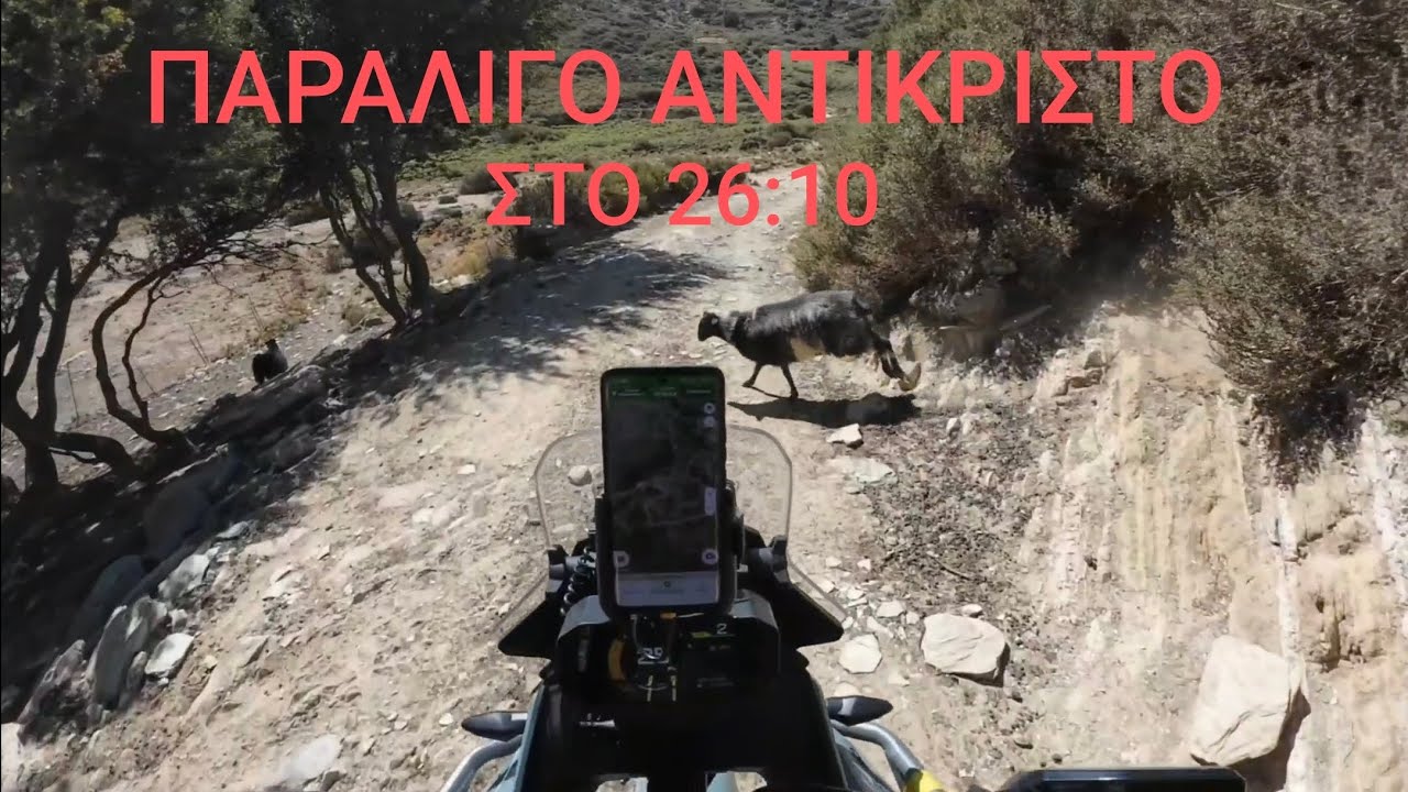 Τα MT450  πάνε βόλτα για αγρίμια στον Ομαλό και ανεβαίνουν στο καταφύγιο Καλλέργη (MADARAID)
