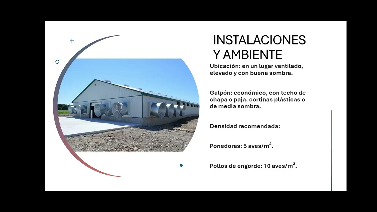Curso de Aves de Corral (Gallinas Ponedoras + Pollos de Engorde) 