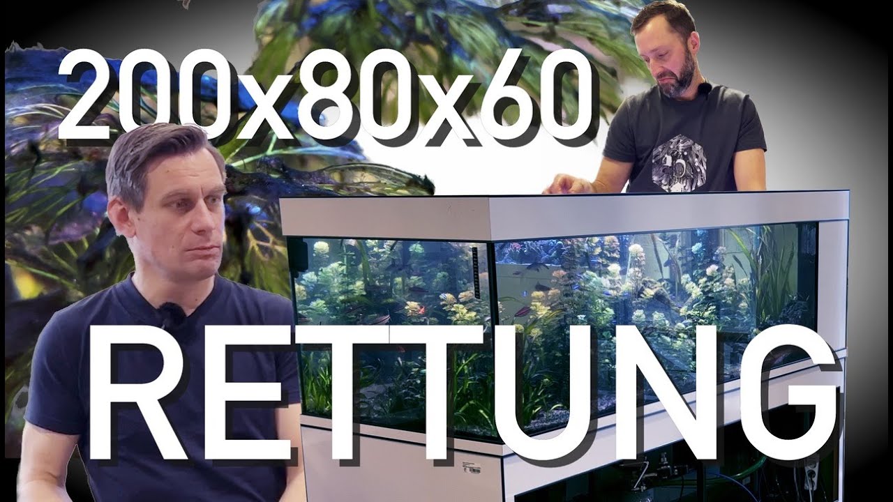 Große PROBLEME in 920 Liter Süßwasseraquarium!!! feat. Jörg Kokott
